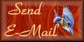 send a E mail