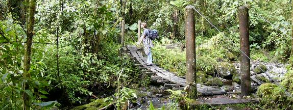 Sendero los Quetzales Boquete, Panama Hiking excurtions Boquete