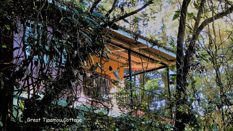 Morning light on the deck of the Great Tinamou Cottage