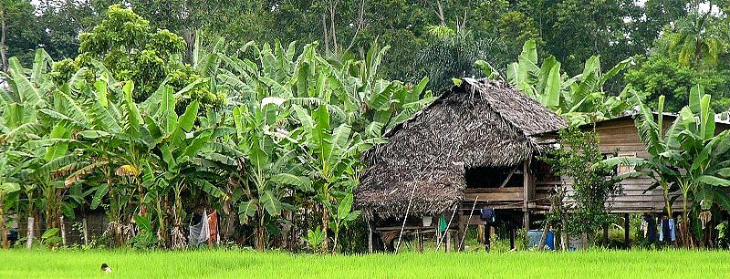 Sightseeing tour from Boquete too Bocas del Toro Panama, Coffee Adventures tours Boquete