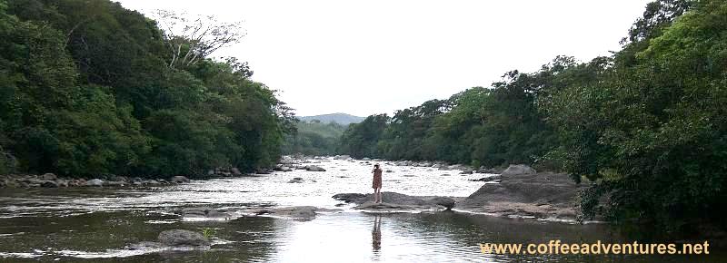 Birding on the river Caldera Panama