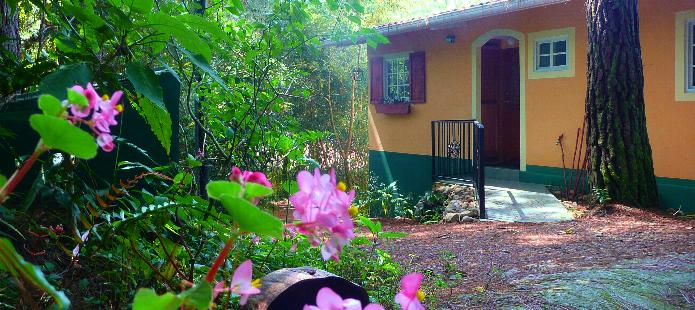 The Great Tinmou Cottage, Boquete Panama