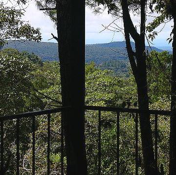 View from the deck of the highland Tinamou